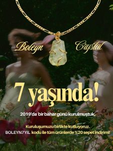 681248519 18194875597362452 5577120358846907457 n