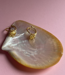 Screenshot 2026 01 13 at 19.12.29