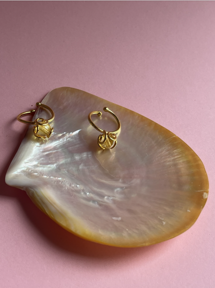 Screenshot 2026 01 13 at 19.12.29