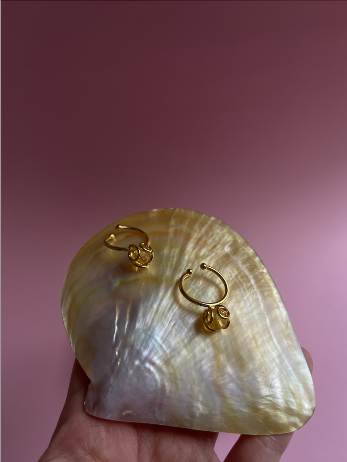 Screenshot 2026 01 13 at 19.16.49