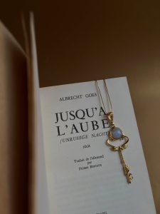 670016578 18193851541362452 7508084902298390886 n