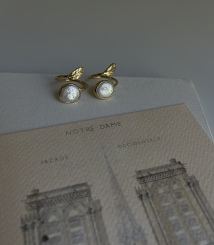 Screenshot 2025 05 16 at 20.00.14