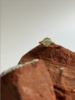 Screenshot 2025 08 04 at 18.53.55