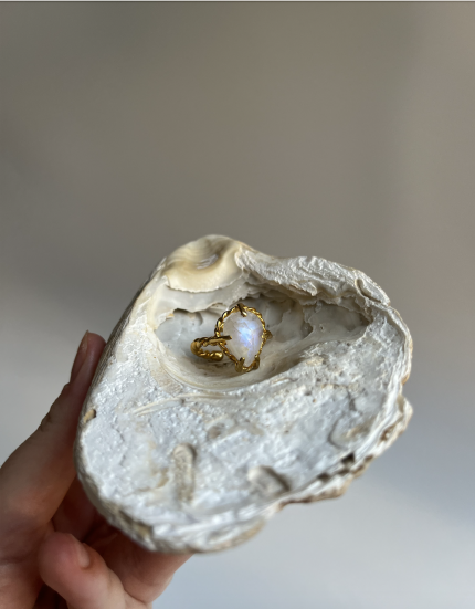 Screenshot 2025 09 08 at 21.51.08