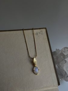 571188788 18174693067362452 462735670704883879 n