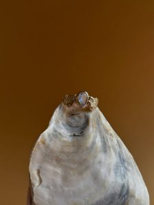 650041437 18190010344362452 9061592546171264445 n