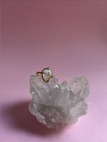 Screenshot 2026 01 07 at 17.22.01