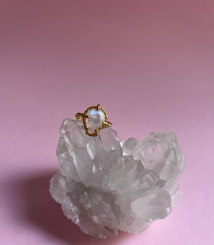 Screenshot 2026 01 07 at 17.22.09