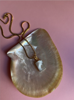 Screenshot 2026 01 15 at 21.18.05