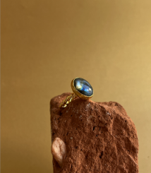 Screenshot 2026 02 20 at 01.54.27