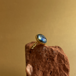 Screenshot 2026 02 20 at 01.54.50