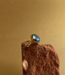 Screenshot 2026 02 20 at 01.54.50