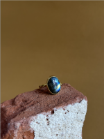 Screenshot 2026 02 20 at 01.55.11