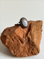 Screenshot 2026 02 21 at 20.29.59