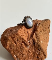 Screenshot 2026 02 21 at 20.29.59