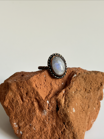 Screenshot 2026 02 21 at 20.30.18