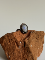 Screenshot 2026 02 21 at 20.30.45