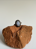 Screenshot 2026 02 21 at 20.30.58