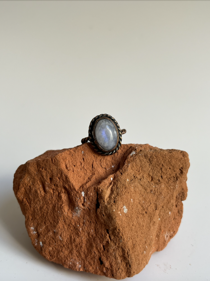 Screenshot 2026 02 21 at 20.30.58