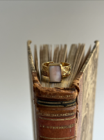 Screenshot 2026 02 21 at 20.56.51