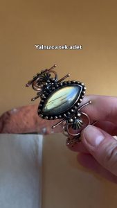 650605580 2464709733946736 4394437386061916921 n