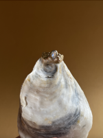 Screenshot 2026 03 14 at 20.55.52