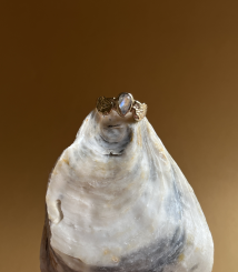 Screenshot 2026 03 14 at 20.55.52