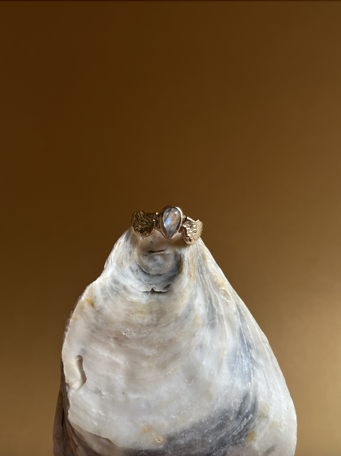 Screenshot 2026 03 14 at 20.55.59