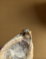 Screenshot 2026 03 14 at 20.56.20