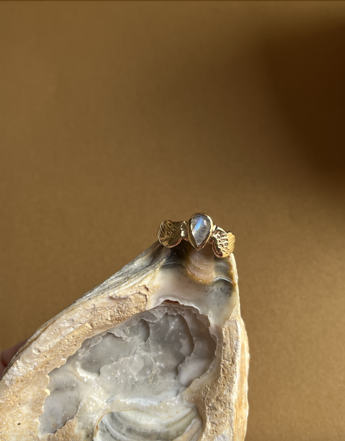 Screenshot 2026 03 14 at 20.56.20