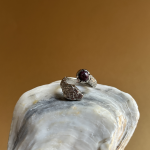 Screenshot 2026 03 15 at 11.34.14