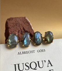 Screenshot 2026 03 15 at 12.04.11