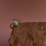 Screenshot 2026 03 15 at 12.12.52