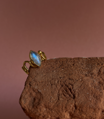 Screenshot 2026 03 15 at 12.12.52