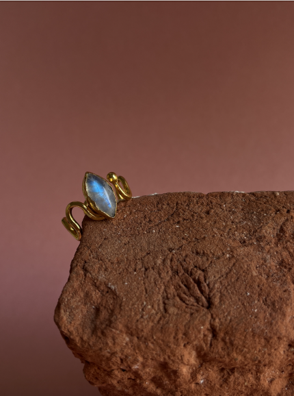 Screenshot 2026 03 15 at 12.12.52