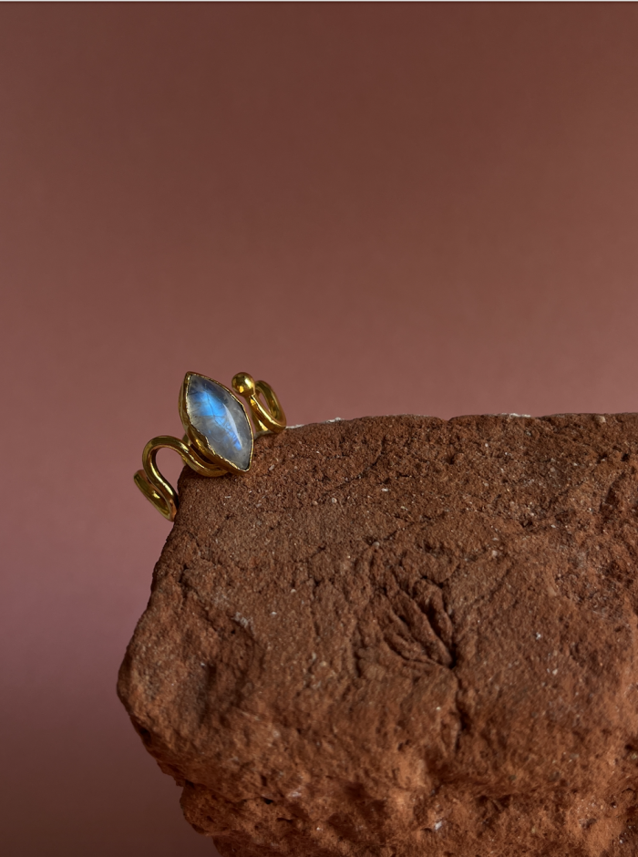 Screenshot 2026 03 15 at 12.12.52