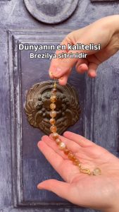 670480786 2564462404010856 2076936560271916145 n